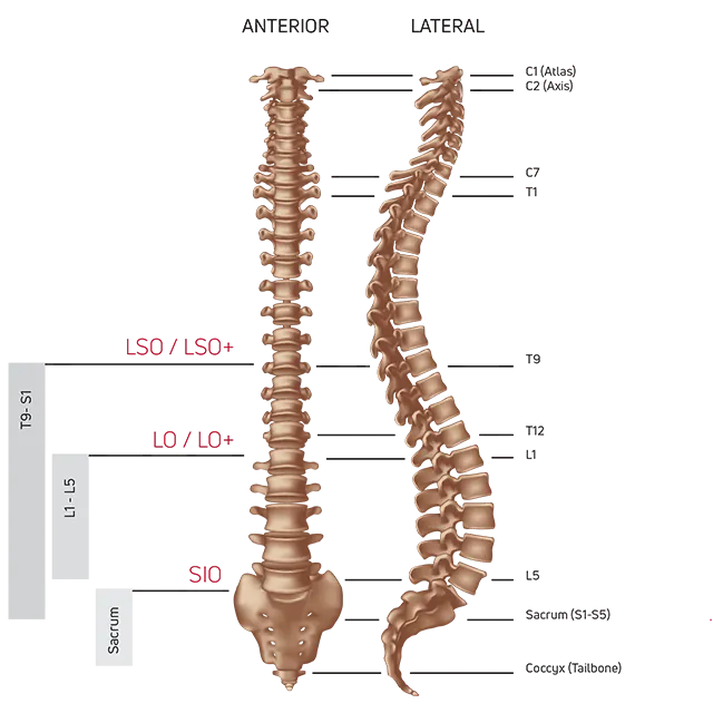 PROCARE COMFORT Form Back Brace